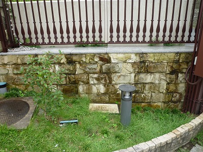 インド砂岩壁のバイオ洗浄1