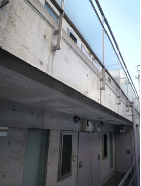 外壁のカビ施工後