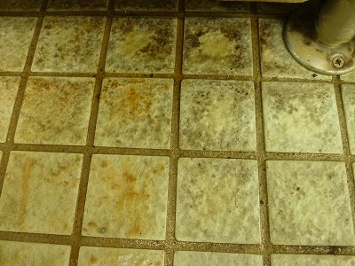 プールサイドのタイル床の洗浄とノンスリップ施工洗浄前